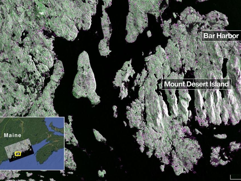 Captured on Aug. 21, this image from NISAR’s L-band radar shows Maine’s Mount Desert Island. Green indicates forest; magenta represents hard or regular surfaces, like bare ground and buildings. The magenta area on the island’s northeast end is the town of Bar Harbor. Credit: NASA/JPL-Caltech